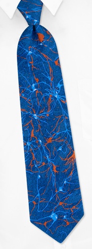 Neurons Tie by I Awareables -  Blue Silk