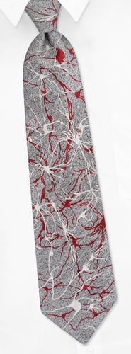 Neurons Tie by I Awareables - Silver Silk Neurons Tie by I Awareables - Silver Silk