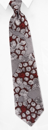 Influenza A Tie by I Awareables -  Silver Silk