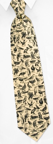 Birds Encyclopedia 1890 Tie by Museum Artifacts - Cream Silk