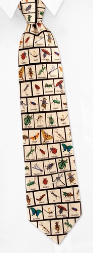 Insects in Squares Tie by Museum Artifacts - Off white Silk Insects in Squares Tie by Museum Artifacts - Off white Silk