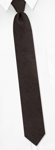 Paisley Skinny Tie by Silk Rhino Neckwear -  Brown Polyester