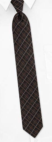 Mini Plaid Skinny Tie by Silk Rhino Neckwear -  Brown Polyester