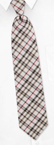 Denny Plaid Tie by Silk Rhino Neckwear -  White Microfiber