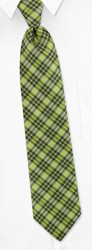 Alexandria Plaid Extra Long Tie by Silk Rhino Neckwear -  Lime green Microfiber