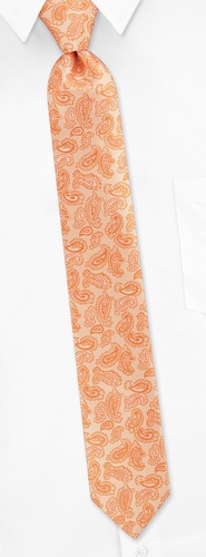 Strand Paisley Skinny Tie by Silk Rhino Neckwear -  Orange Microfiber