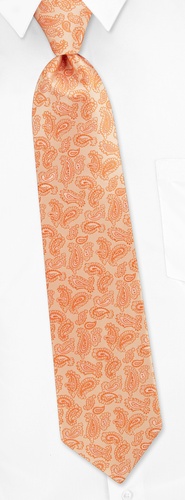 Strand Paisley Extra Long Tie by Silk Rhino Neckwear - Orange Microfiber Strand Paisley Extra Long Tie by Silk Rhino Neckwear - Orange Microfiber