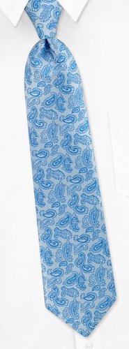 Strand Paisley Tie by Silk Rhino Neckwear -  Blue Microfiber