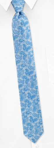 Strand Paisley Skinny Tie by Silk Rhino Neckwear -  Blue Microfiber
