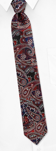 Chelsea Paisley Skinny Tie by Silk Rhino Neckwear - Multicolor Microfiber Chelsea Paisley Skinny Tie by Silk Rhino Neckwear - Multicolor Microfiber