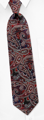 Chelsea Paisley Extra Long Tie by Silk Rhino Neckwear - Multicolor Microfiber Chelsea Paisley Extra Long Tie by Silk Rhino Neckwear - Multicolor Microfiber
