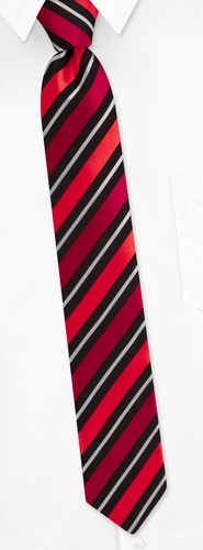 Murray Stripe Skinny Tie by Silk Rhino Neckwear -  Red Microfiber