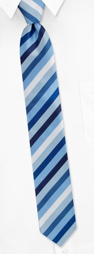 Bowery Diagonal Stripe Skinny Tie by Silk Rhino Neckwear -  Blue Microfiber