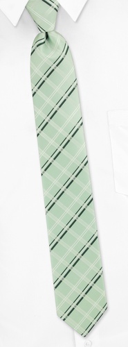 Marcy Plaid Skinny Tie by Silk Rhino Neckwear -  Celedon green Microfiber