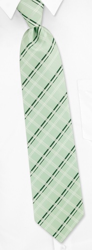 Marcy Plaid Extra Long Tie by Silk Rhino Neckwear -  Celedon green Microfiber
