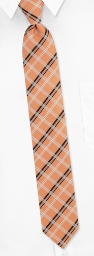 Marcy Plaid Skinny Tie by Silk Rhino Neckwear -  Melon Microfiber