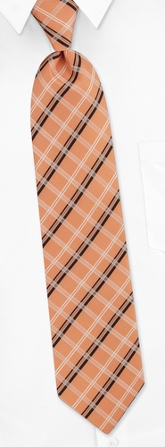 Marcy Plaid Extra Long Tie by Silk Rhino Neckwear -  Melon Microfiber