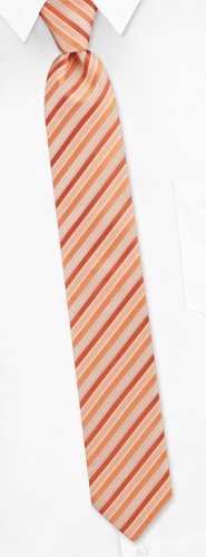 Hudson Stripe Skinny Tie by Silk Rhino Neckwear -  Orange Microfiber