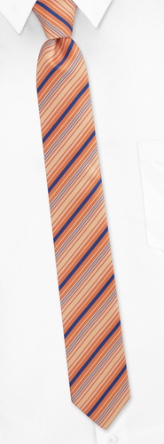 Madison Stripe Skinny Tie by Silk Rhino Neckwear -  Orange Microfiber