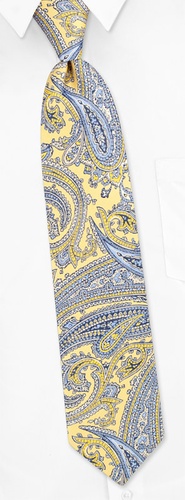 Oxford Paisley Tie by Nautica -  Yellow Silk
